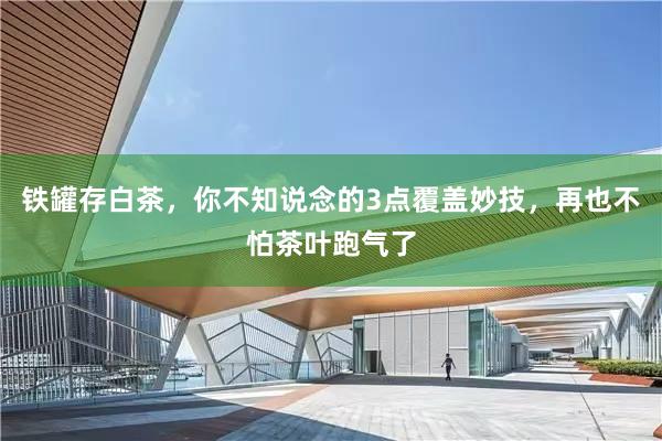 铁罐存白茶，你不知说念的3点覆盖妙技，再也不怕茶叶跑气了
