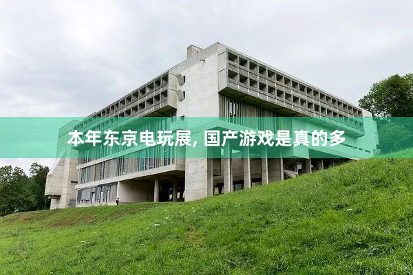 本年东京电玩展, 国产游戏是真的多