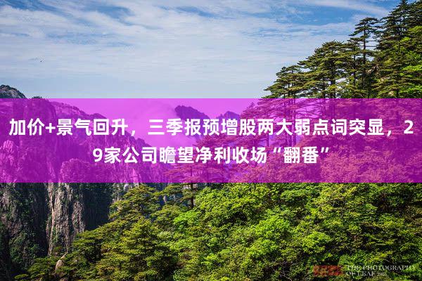 加价+景气回升，三季报预增股两大弱点词突显，29家公司瞻望净利收场“翻番”