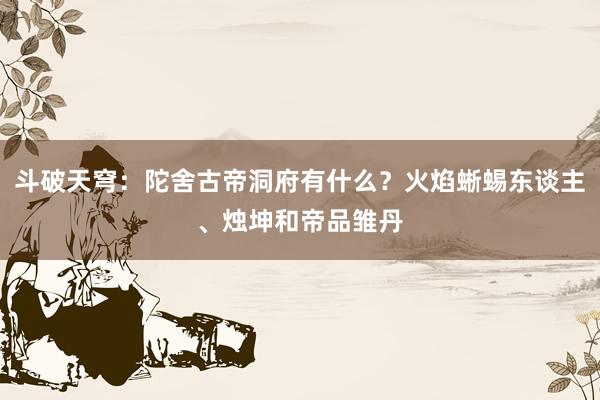 斗破天穹：陀舍古帝洞府有什么？火焰蜥蜴东谈主、烛坤和帝品雏丹