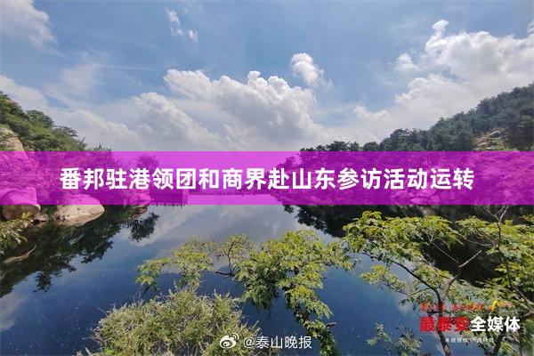 番邦驻港领团和商界赴山东参访活动运转