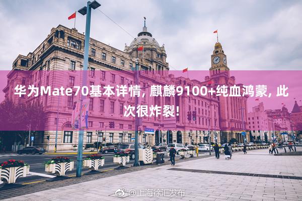 华为Mate70基本详情, 麒麟9100+纯血鸿蒙, 此次很炸裂!