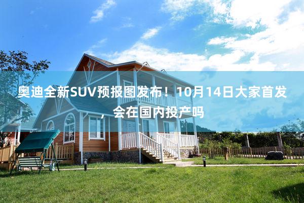奥迪全新SUV预报图发布！10月14日大家首发，会在国内投产吗