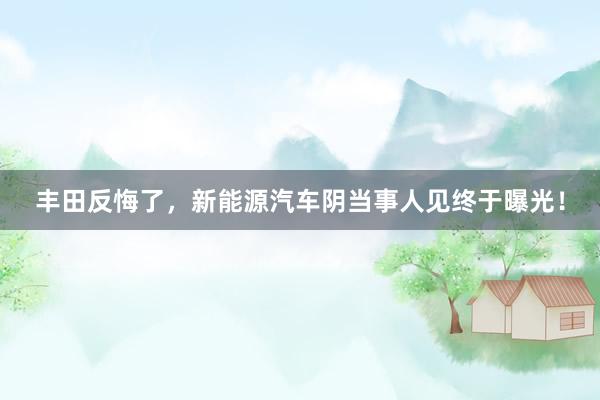 丰田反悔了，新能源汽车阴当事人见终于曝光！