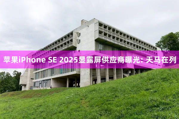 苹果iPhone SE 2025显露屏供应商曝光: 天马在列