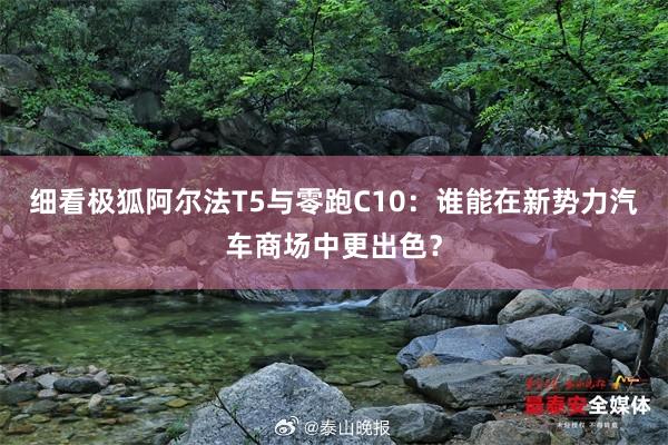 细看极狐阿尔法T5与零跑C10：谁能在新势力汽车商场中更出色？