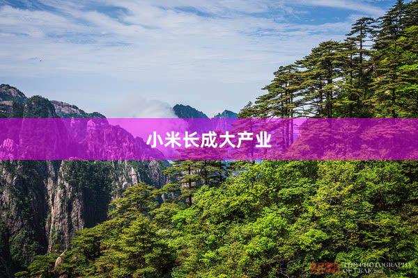 小米长成大产业